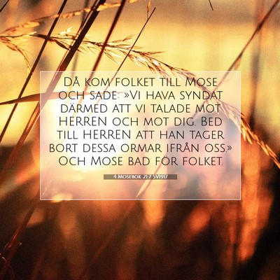 Picture 07 - 4 Mosebok 21:7 SV1917 - Då kom folket till Mose och sade: »Vi hava - Bible Verse Picture