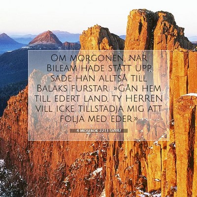 Picture 07 - 4 Mosebok 22:13 SV1917 - Om morgonen, när Bileam hade stått upp, sade - Bible Verse Picture