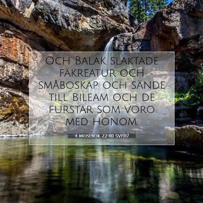 Picture 07 - 4 Mosebok 22:40 SV1917 - Och Balak slaktade fäkreatur och småboskap och - Bible Verse Picture