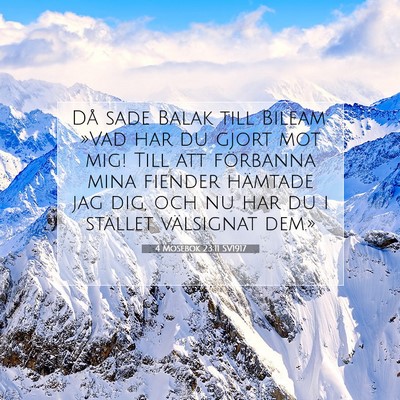 Picture 07 - 4 Mosebok 23:11 SV1917 - Då sade Balak till Bileam: »Vad har du gjort - Bible Verse Picture