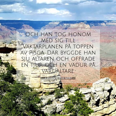 Picture 07 - 4 Mosebok 23:14 SV1917 - Och han tog honom med sig till Väktarplanen på - Bible Verse Picture