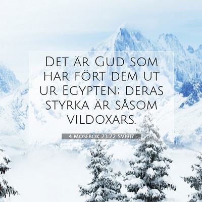 Picture 07 - 4 Mosebok 23:22 SV1917 - Det är Gud som har fört dem ut ur Egypten; - Bible Verse Picture