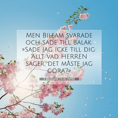 Picture 07 - 4 Mosebok 23:26 SV1917 - Men Bileam svarade och sade till Balak: »Sade - Bible Verse Picture