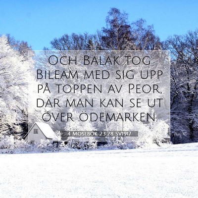 Picture 07 - 4 Mosebok 23:28 SV1917 - Och Balak tog Bileam med sig upp på toppen av - Bible Verse Picture