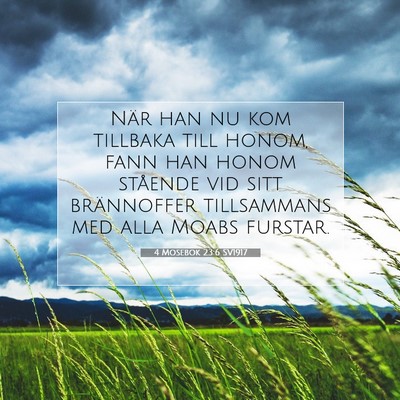 Picture 07 - 4 Mosebok 23:6 SV1917 - När han nu kom tillbaka till honom, fann han - Bible Verse Picture