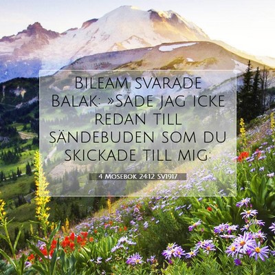 Picture 07 - 4 Mosebok 24:12 SV1917 - Bileam svarade Balak: »Sade jag icke redan till - Bible Verse Picture
