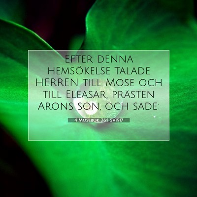 Picture 07 - 4 Mosebok 26:1 SV1917 - Efter denna hemsökelse talade HERREN till Mose - Bible Verse Picture
