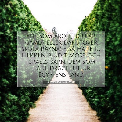 Picture 07 - 4 Mosebok 26:4 SV1917 - »De som äro tjugu år gamla eller därutöver - Bible Verse Picture