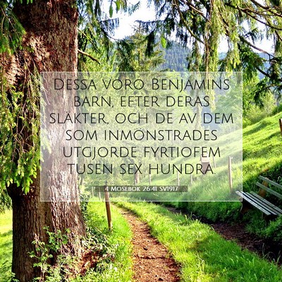 Picture 07 - 4 Mosebok 26:41 SV1917 - Dessa voro Benjamins barn, efter deras släkter, - Bible Verse Picture