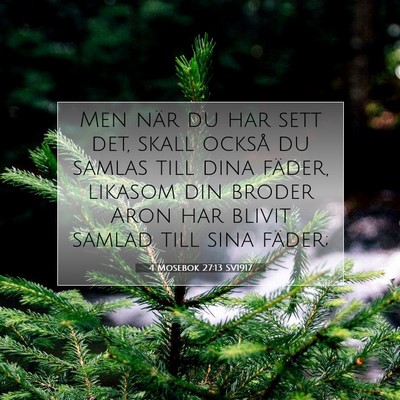 Picture 07 - 4 Mosebok 27:13 SV1917 - Men när du har sett det, skall också du samlas - Bible Verse Picture