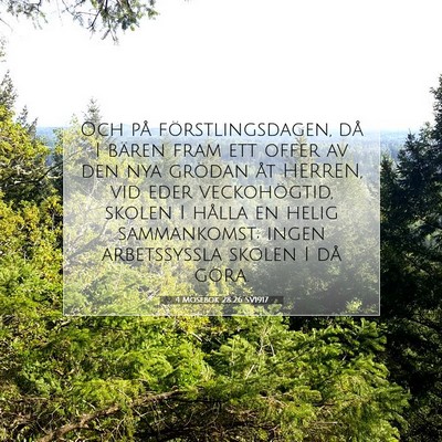 Picture 07 - 4 Mosebok 28:26 SV1917 - Och på förstlingsdagen, då I bären fram ett - Bible Verse Picture