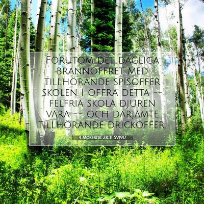 Picture 07 - 4 Mosebok 28:31 SV1917 - Förutom det dagliga brännoffret med - Bible Verse Picture
