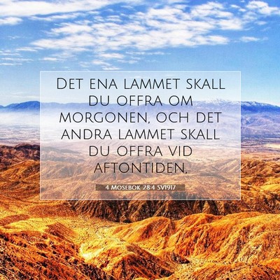 Picture 07 - 4 Mosebok 28:4 SV1917 - Det ena lammet skall du offra om morgonen, och - Bible Verse Picture