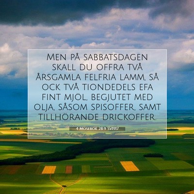 Picture 07 - 4 Mosebok 28:9 SV1917 - Men på sabbatsdagen skall du offra två - Bible Verse Picture