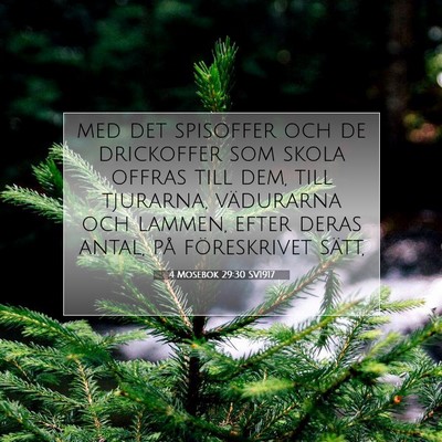 Picture 07 - 4 Mosebok 29:30 SV1917 - med det spisoffer och de drickoffer som skola - Bible Verse Picture