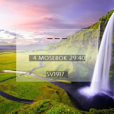 Picture 07 - 4 Mosebok 29:40 SV1917 -  - Bible Verse Picture