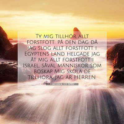 Picture 07 - 4 Mosebok 3:13 SV1917 - Ty mig tillhör allt förstfött; på den dag då - Bible Verse Picture
