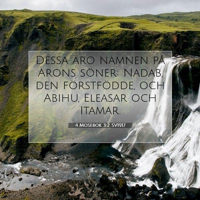 Picture 07 - 4 Mosebok 3:2 SV1917 - Dessa äro namnen på Arons söner: Nadab, den - Bible Verse Picture
