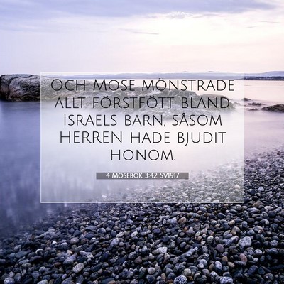 Picture 07 - 4 Mosebok 3:42 SV1917 - Och Mose mönstrade allt förstfött bland - Bible Verse Picture