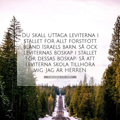 Picture 07 - 4 Mosebok 3:45 SV1917 - Du skall uttaga leviterna i stället för allt - Bible Verse Picture