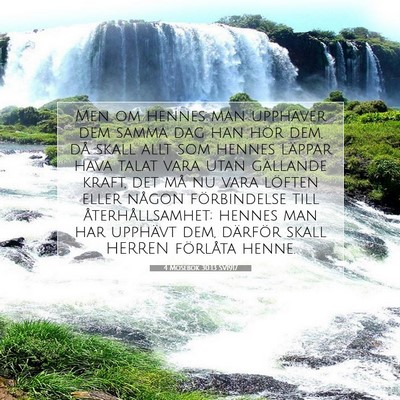 Picture 07 - 4 Mosebok 30:13 SV1917 - Men om hennes man upphäver dem samma dag han - Bible Verse Picture