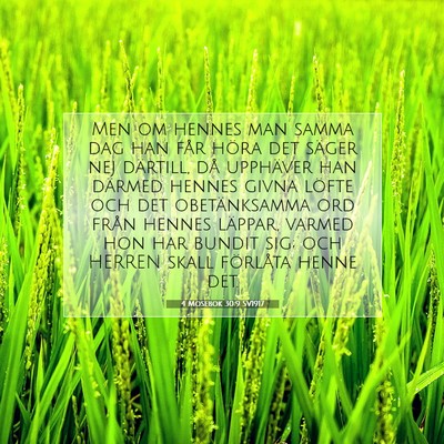 Picture 07 - 4 Mosebok 30:9 SV1917 - Men om hennes man samma dag han får höra det - Bible Verse Picture