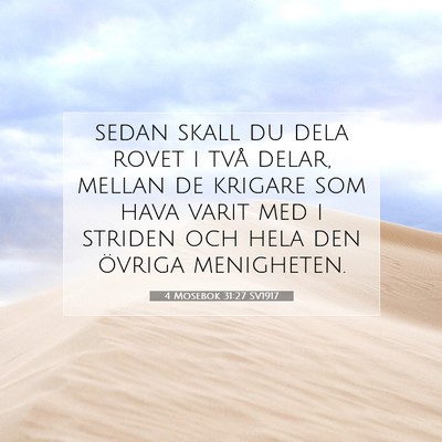 Picture 07 - 4 Mosebok 31:27 SV1917 - sedan skall du dela rovet i två delar, mellan de - Bible Verse Picture