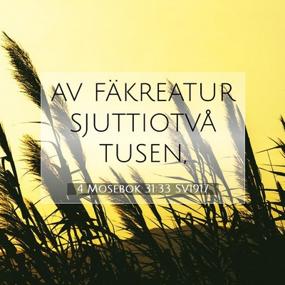 Picture 07 - 4 Mosebok 31:33 SV1917 - av fäkreatur sjuttiotvå - Bible Verse Picture