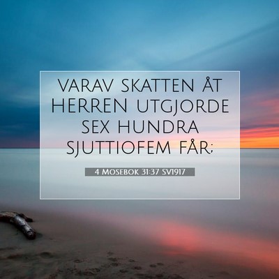 Picture 07 - 4 Mosebok 31:37 SV1917 - varav skatten åt HERREN utgjorde sex hundra - Bible Verse Picture