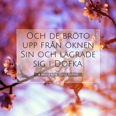 Picture 07 - 4 Mosebok 33:12 SV1917 - Och de bröto upp från öknen Sin och lägrade - Bible Verse Picture