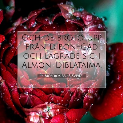 Picture 07 - 4 Mosebok 33:46 SV1917 - Och de bröto upp från Dibon-Gad och lägrade - Bible Verse Picture