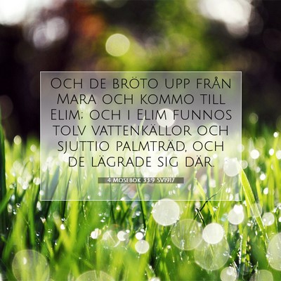 Picture 07 - 4 Mosebok 33:9 SV1917 - Och de bröto upp från Mara och kommo till Elim; - Bible Verse Picture