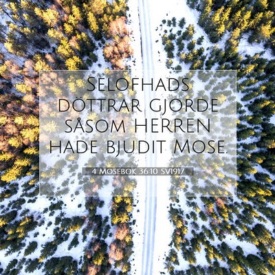 Picture 07 - 4 Mosebok 36:10 SV1917 - Selofhads döttrar gjorde såsom HERREN hade - Bible Verse Picture