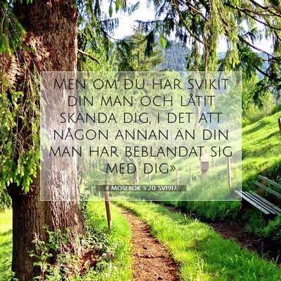 Picture 07 - 4 Mosebok 5:20 SV1917 - Men om du har svikit din man och låtit skända - Bible Verse Picture