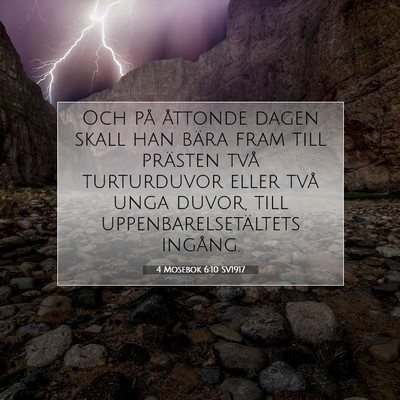 Picture 07 - 4 Mosebok 6:10 SV1917 - Och på åttonde dagen skall han bära fram till - Bible Verse Picture