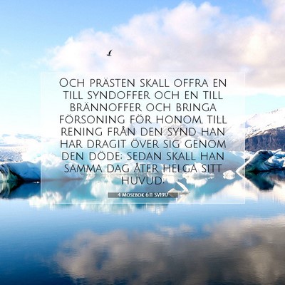 Picture 07 - 4 Mosebok 6:11 SV1917 - Och prästen skall offra en till syndoffer och en - Bible Verse Picture