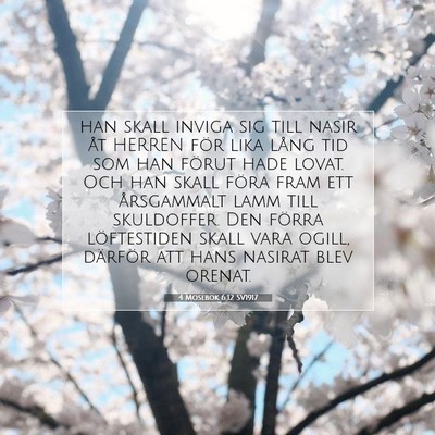 Picture 07 - 4 Mosebok 6:12 SV1917 - han skall inviga sig till nasir åt HERREN för - Bible Verse Picture