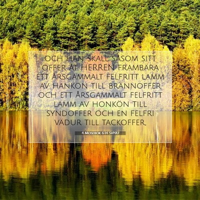 Picture 07 - 4 Mosebok 6:14 SV1917 - och han skall såsom sitt offer åt HERREN - Bible Verse Picture