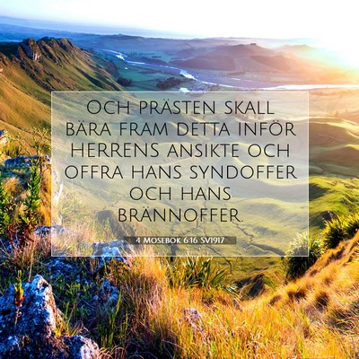 Picture 07 - 4 Mosebok 6:16 SV1917 - Och prästen skall bära fram detta inför - Bible Verse Picture