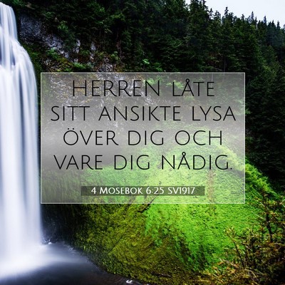 Picture 07 - 4 Mosebok 6:25 SV1917 - HERREN låte sitt ansikte lysa över dig och vare - Bible Verse Picture