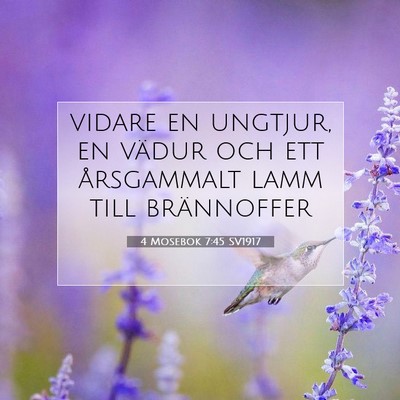 Picture 07 - 4 Mosebok 7:45 SV1917 - vidare en ungtjur, en vädur och ett årsgammalt - Bible Verse Picture
