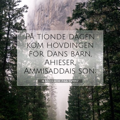 Picture 07 - 4 Mosebok 7:66 SV1917 - På tionde dagen kom hövdingen för Dans barn, - Bible Verse Picture
