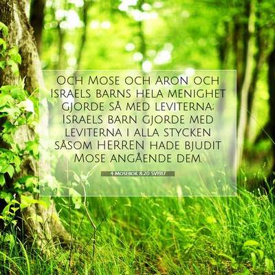 Picture 07 - 4 Mosebok 8:20 SV1917 - Och Mose och Aron och Israels barns hela menighet - Bible Verse Picture