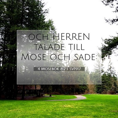 Picture 07 - 4 Mosebok 8:23 SV1917 - och HERREN talade till Mose och - Bible Verse Picture