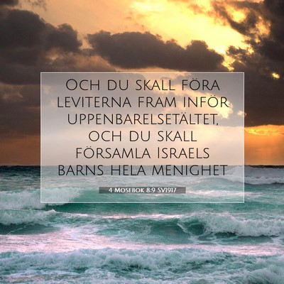 Picture 07 - 4 Mosebok 8:9 SV1917 - Och du skall föra leviterna fram inför - Bible Verse Picture