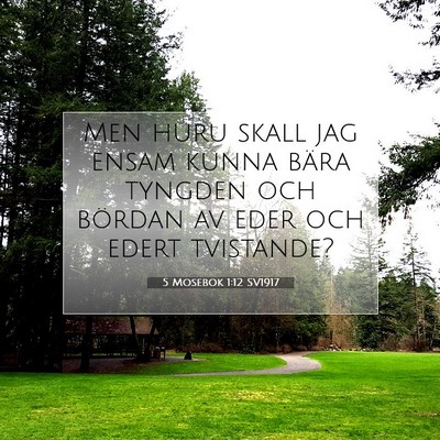 Picture 07 - 5 Mosebok 1:12 SV1917 - Men huru skall jag ensam kunna bära tyngden och - Bible Verse Picture
