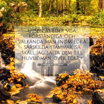Picture 07 - 5 Mosebok 1:13 SV1917 - Utsen åt eder visa, förståndiga och välkända - Bible Verse Picture