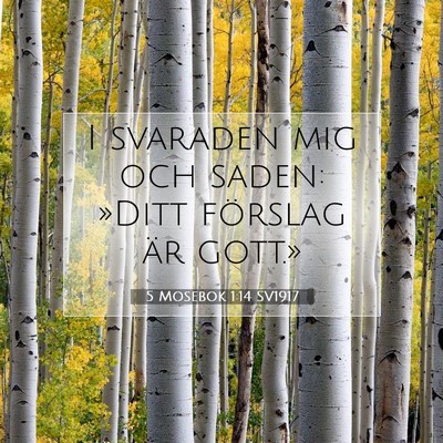 Picture 07 - 5 Mosebok 1:14 SV1917 - I svaraden mig och saden: »Ditt förslag är - Bible Verse Picture