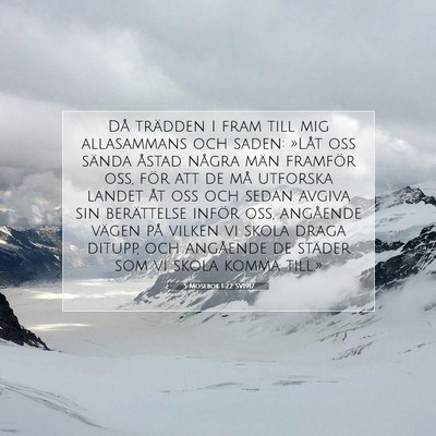 Picture 07 - 5 Mosebok 1:22 SV1917 - Då trädden I fram till mig allasammans och - Bible Verse Picture