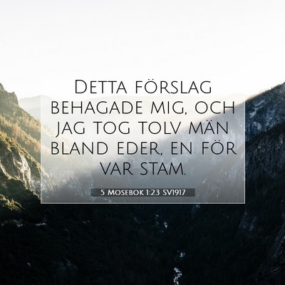 Picture 07 - 5 Mosebok 1:23 SV1917 - Detta förslag behagade mig, och jag tog tolv - Bible Verse Picture